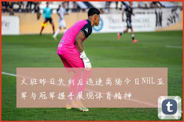 文班昨日失利后迅速离场今日NHL亚军与冠军握手展现体育精神